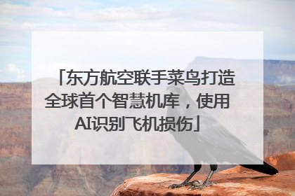东方航空联手菜鸟打造全球首个智慧机库，使用AI识别飞机损伤