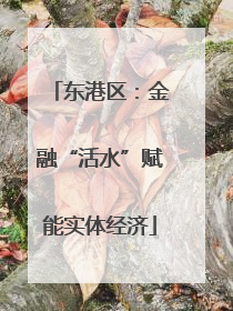 东港区：金融“活水”赋能实体经济