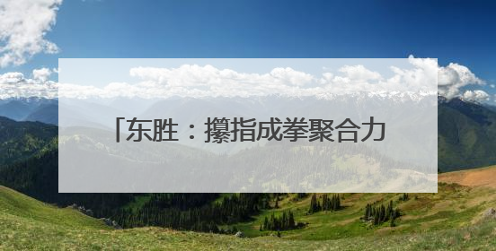 东胜：攥指成拳聚合力 “暖城善治”显真章