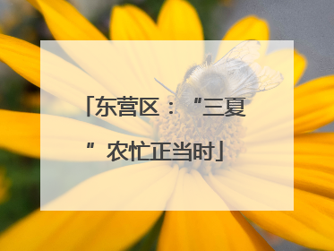 东营区：“三夏”农忙正当时