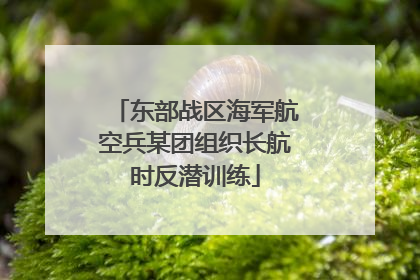 东部战区海军航空兵某团组织长航时反潜训练