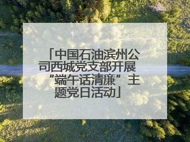 中国石油滨州公司西城党支部开展“端午话清廉”主题党日活动
