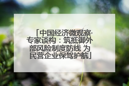 中国经济微观察·专家谈构：筑抵御外部风险制度防线 为民营企业保驾护航