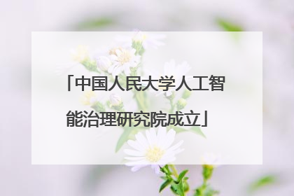 中国人民大学人工智能治理研究院成立