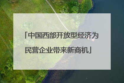 中国西部开放型经济为民营企业带来新商机