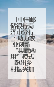 中国邮储银行菏泽市分行：助力农业创新 “果蔬两用”模式 跑出乡村振兴加速度