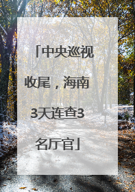 中央巡视收尾，海南3天连查3名厅官