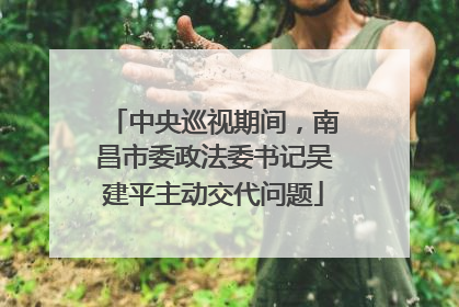 中央巡视期间，南昌市委政法委书记吴建平主动交代问题