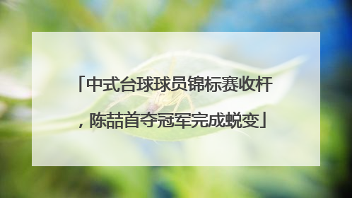 中式台球球员锦标赛收杆，陈喆首夺冠军完成蜕变
