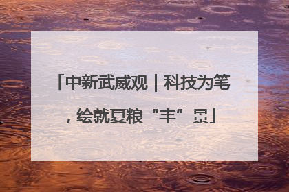 中新武威观｜科技为笔，绘就夏粮“丰”景