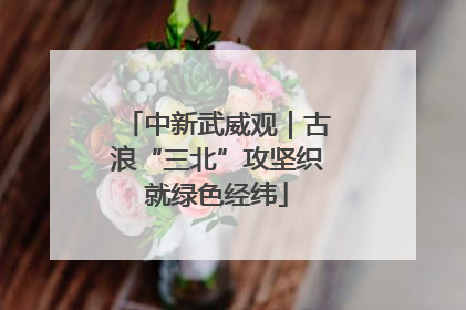 中新武威观｜古浪“三北”攻坚织就绿色经纬