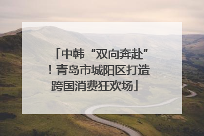 中韩“双向奔赴”！青岛市城阳区打造跨国消费狂欢场
