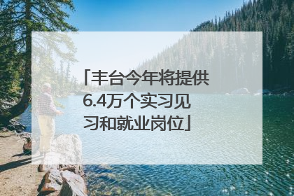 丰台今年将提供6.4万个实习见习和就业岗位