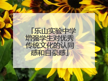 乐山实验中学增强学生对优秀传统文化的认同感和自豪感