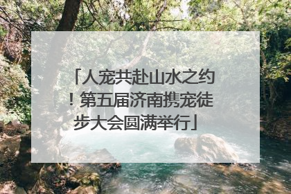 人宠共赴山水之约！第五届济南携宠徒步大会圆满举行