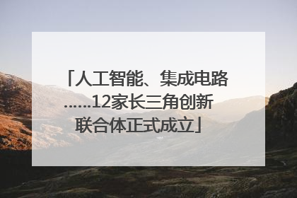 人工智能、集成电路……12家长三角创新联合体正式成立