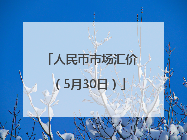 人民币市场汇价（5月30日）