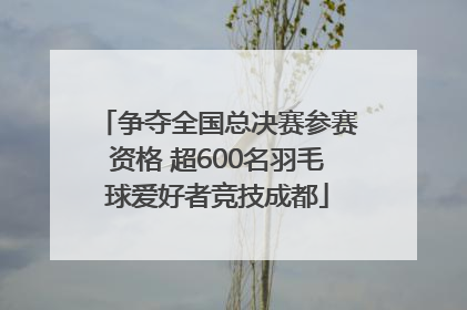 争夺全国总决赛参赛资格 超600名羽毛球爱好者竞技成都