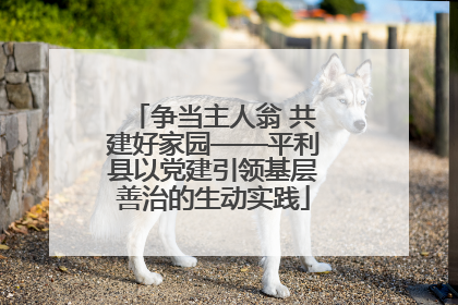 争当主人翁 共建好家园——平利县以党建引领基层善治的生动实践