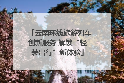 云南环线旅游列车创新服务 解锁“轻装出行”新体验