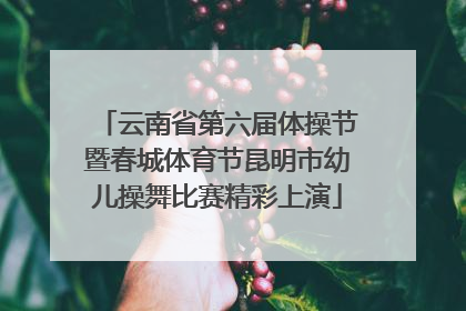 云南省第六届体操节暨春城体育节昆明市幼儿操舞比赛精彩上演