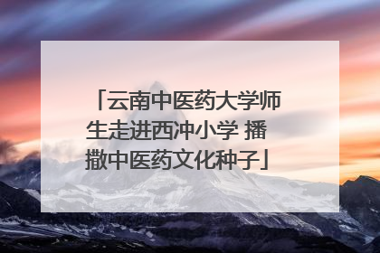 云南中医药大学师生走进西冲小学 播撒中医药文化种子