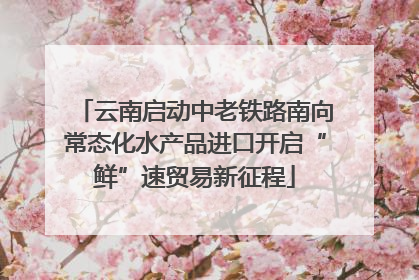 云南启动中老铁路南向常态化水产品进口开启“鲜”速贸易新征程