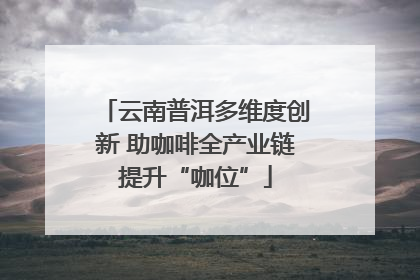 云南普洱多维度创新 助咖啡全产业链提升“咖位”