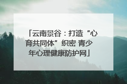 云南景谷：打造“心育共同体”织密 青少年心理健康防护网
