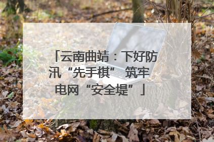 云南曲靖：下好防汛“先手棋” 筑牢电网“安全堤”