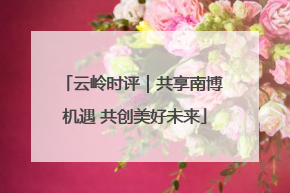 云岭时评｜共享南博机遇 共创美好未来