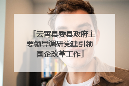 云霄县委县政府主要领导调研党建引领国企改革工作