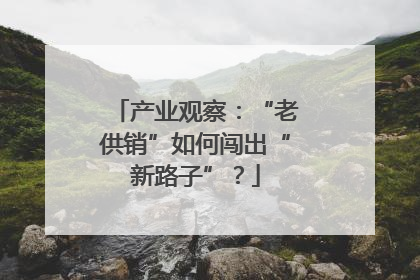 产业观察：“老供销”如何闯出“新路子”？