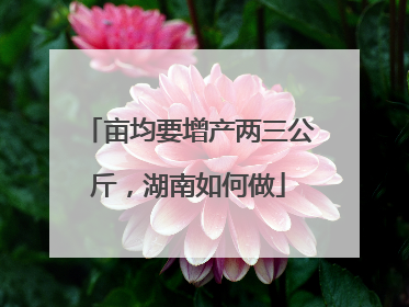 亩均要增产两三公斤，湖南如何做