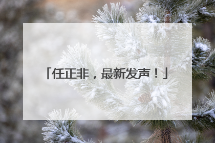 任正非，最新发声！