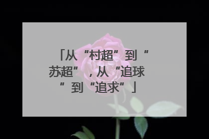 从“村超”到“苏超”，从“追球”到“追求”