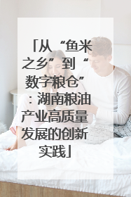 从“鱼米之乡”到“数字粮仓”：湖南粮油产业高质量发展的创新实践