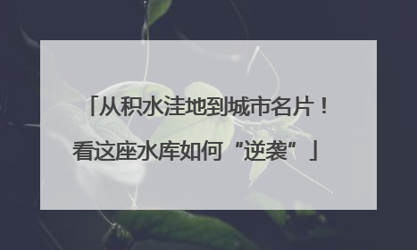 从积水洼地到城市名片！看这座水库如何“逆袭”