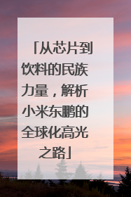 从芯片到饮料的民族力量，解析小米东鹏的全球化高光之路