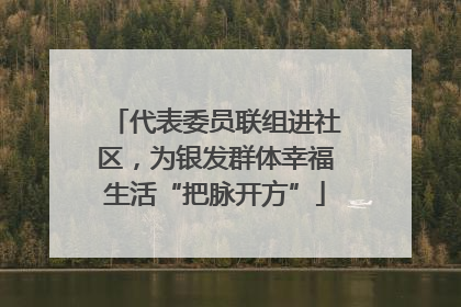 代表委员联组进社区，为银发群体幸福生活“把脉开方”