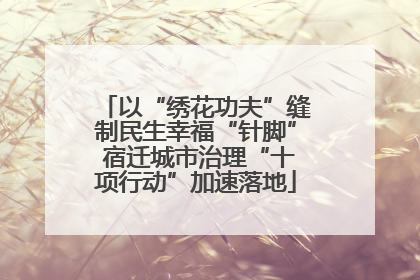 以“绣花功夫”缝制民生幸福“针脚” 宿迁城市治理“十项行动”加速落地