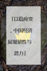 以稳应变，中国经济展现韧性与潜力