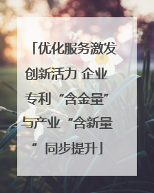 优化服务激发创新活力 企业专利“含金量”与产业“含新量”同步提升
