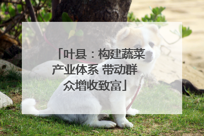 叶县：构建蔬菜产业体系 带动群众增收致富