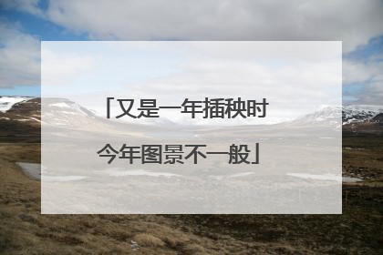 又是一年插秧时 今年图景不一般