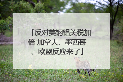反对美钢铝关税加倍 加拿大、墨西哥、欧盟反应来了