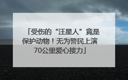 受伤的“汪星人”竟是保护动物！无为警民上演70公里爱心接力