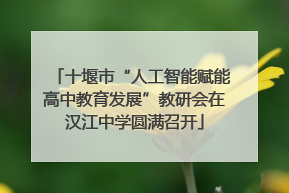 十堰市“人工智能赋能高中教育发展”教研会在汉江中学圆满召开