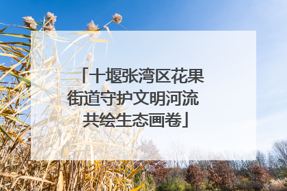 十堰张湾区花果街道守护文明河流 共绘生态画卷