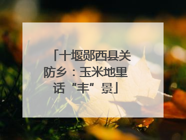 十堰郧西县关防乡：玉米地里话“丰”景
